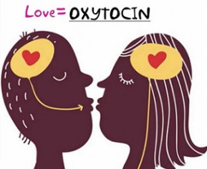 oxytocin.jpg